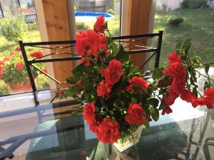 wazon wypełniony czerwonymi kwiatami na szklanym stole w obiekcie Villa Panoramique w mieście Saint-Clair-du-Rhône
