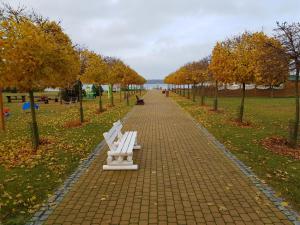 a row of white park benches on a brick sidewalk at Aparthotel EuforiaPort in Pisz