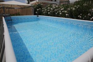 a large swimming pool with blue water in a yard at Villa Armonia in Praia a Mare