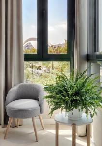 a chair and a potted plant in front of a window at Opera House Valencia B&B in Valencia