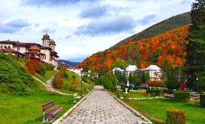 a cobblestone path in a park with a building at Apartament Nemira in Slănic-Moldova