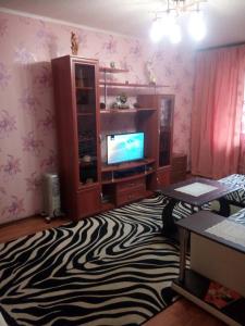 リペツクにあるApartment on prospekt Pobedy 12のリビングルーム(テレビ、シマウマの敷物付)