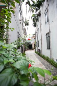 un callejón entre dos edificios con palmeras en Homestay MINH TÚ en Hue