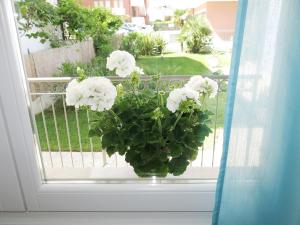 A balcony or terrace at Residence Amarein