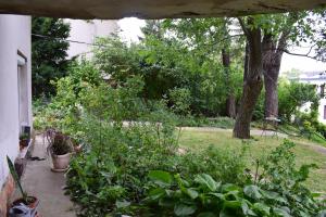 A garden outside Gellért Hill Apartment