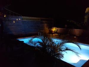 una vista notturna su una piscina con una palma di Chez Karine & Harold a Sainte-Luce