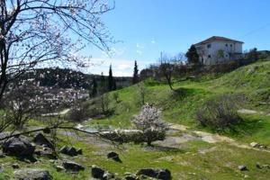 a grassy hill with a house on top of it at Oasis of CalmnessΕ in Ardánion
