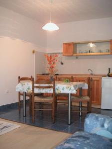 Virtuvė arba virtuvėlė apgyvendinimo įstaigoje Apartments Nanini