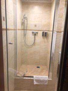 ポドリスクにあるディーバ ミニ ホテルのバスルーム(ガラスドア付きのシャワー付)