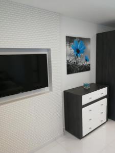 TV a/nebo společenská místnost v ubytování AQUA SOLAR APARTMANHÁZ