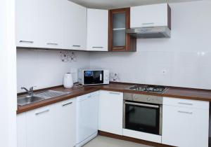 Kuchyň nebo kuchyňský kout v ubytování Apartments Ivica