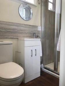 a bathroom with a toilet and a sink and a shower at The Trusty Servant Inn in Lyndhurst