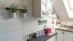 una cucina con piante in vaso sul muro di Pokoje Gościnne Nad Wkra a Joniec Altre 14 foto