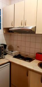 Virtuvė arba virtuvėlė apgyvendinimo įstaigoje Hospitality Centrum - Nicolae Iorga