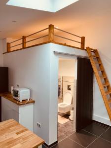 a loft bed in a room with a bathroom at Dépendance au calme dans un cadre bucolique Strasbourg Europapark in Fegersheim