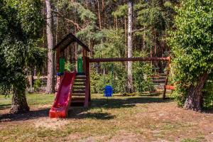a playground in a park with a slide at Dom przy Rezerwacie in Trzciel