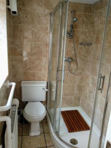 a bathroom with a shower and a toilet at York House in Conwy
