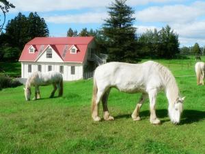 Gallery image of The Carriage House-Bay of Islands in Kerikeri +14 photos