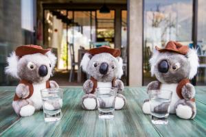 Foto de la galería de Lazy Koala en Hikkaduwa