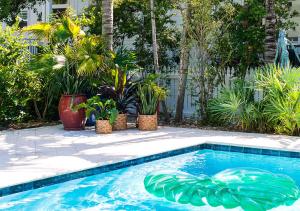 Hồ bơi trong/gần Parrot Key Hotel & Villas
