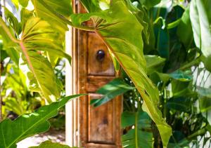 Vườn quanh Parrot Key Hotel & Villas