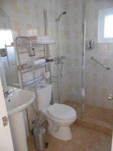 a bathroom with a toilet and a shower and a sink at Villanita in Punta Arenas