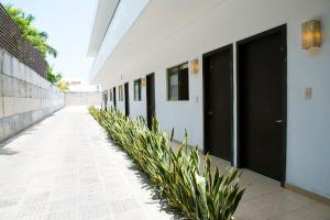 un couloir d'un bâtiment avec des portes et des plantes noires dans l'établissement Suites Real Tabasco, à Villahermosa