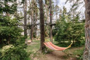 a hammock hanging from a tree in a forest at Eco Hotel Zdravetz in Tsar Kaloyan