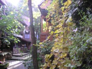 eine Gasse mit einem Gebäude mit Pflanzen darauf in der Unterkunft Gîte Le Riesling in Bergheim