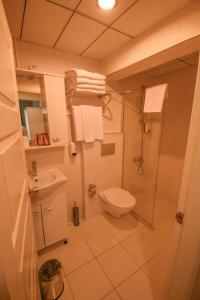 a bathroom with a toilet and a shower and a sink at Parion House Hotel in Çanakkale