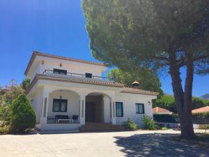 Una casa blanca con un árbol delante. en B&B Villa Pinos Málaga en Alhaurín de la Torre