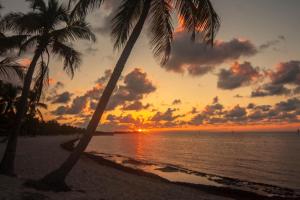 a sunset on the beach with two palm trees at Sunrise Suites Dominican Suite #110 in Key West