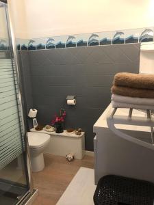 ein Bad mit einem WC, einem Waschbecken und einer Dusche in der Unterkunft location guadeloupe in Le Gosier