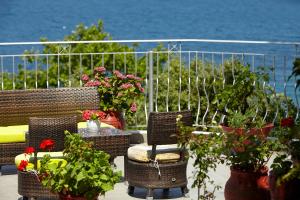 Zahrada ubytování Hotel Alkyonis
