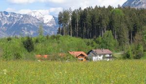 a house in a field with mountains in the background at Haus Kranzusch in Sonthofen