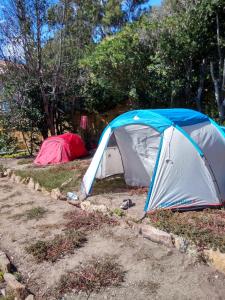 Fotografie z fotogalerie ubytování Les Bambous, camping naturiste v destinaci Ile du Levant
