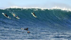 um grupo de pessoas a surfar uma onda em pranchas de surf no oceano em TarmarPlace em Jardim do Mar