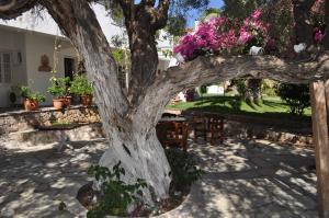 Gallery image of Villa Martha in Spetses