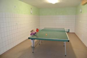 Stolní tenis v ubytování Pension Jitka nebo okolí