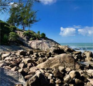 a large group of rocks on a beach at Morada Canto Norte - Apartamentos Beira Mar in Garopaba