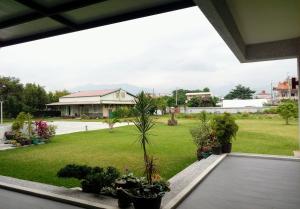 uma vista para um quintal com vasos de plantas em Really good home em Taitung City