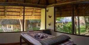 Thamalakane River Lodge في ماون: غرفة نوم مع نوافذ كبيرة مع سرير في الأمام