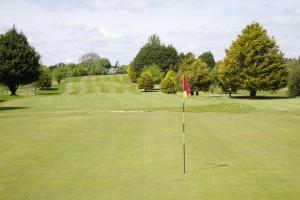 un campo da golf con bandiera in mezzo a un verde di Tully's Hotel a Castlerea