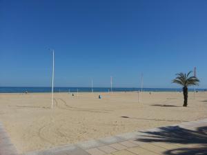a sandy beach with a palm tree and the ocean at Hotel Albatros in Gandía