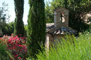 Zahrada ubytování Villa Cicolina