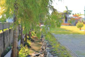 Un jardín fuera de Jiang's B&B 江院子庭園民宿