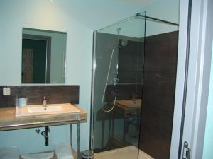 La salle de bains est pourvue d'un lavabo et d'une douche en verre. dans l'établissement Brabander Alm, à Biberwier