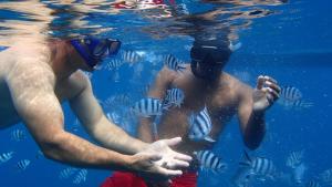 two men are looking at fish in the water at Sweet Beach Bungalow in Tamarin