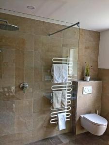 a bathroom with a shower with a toilet and towels at Alkira in Sankt Anton am Arlberg