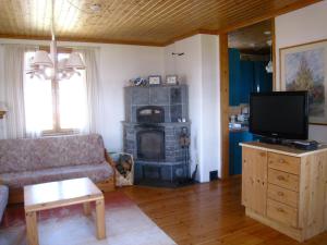 salon z kominkiem, kanapą i telewizorem w obiekcie Aironiemi Cottage w mieście Kotka